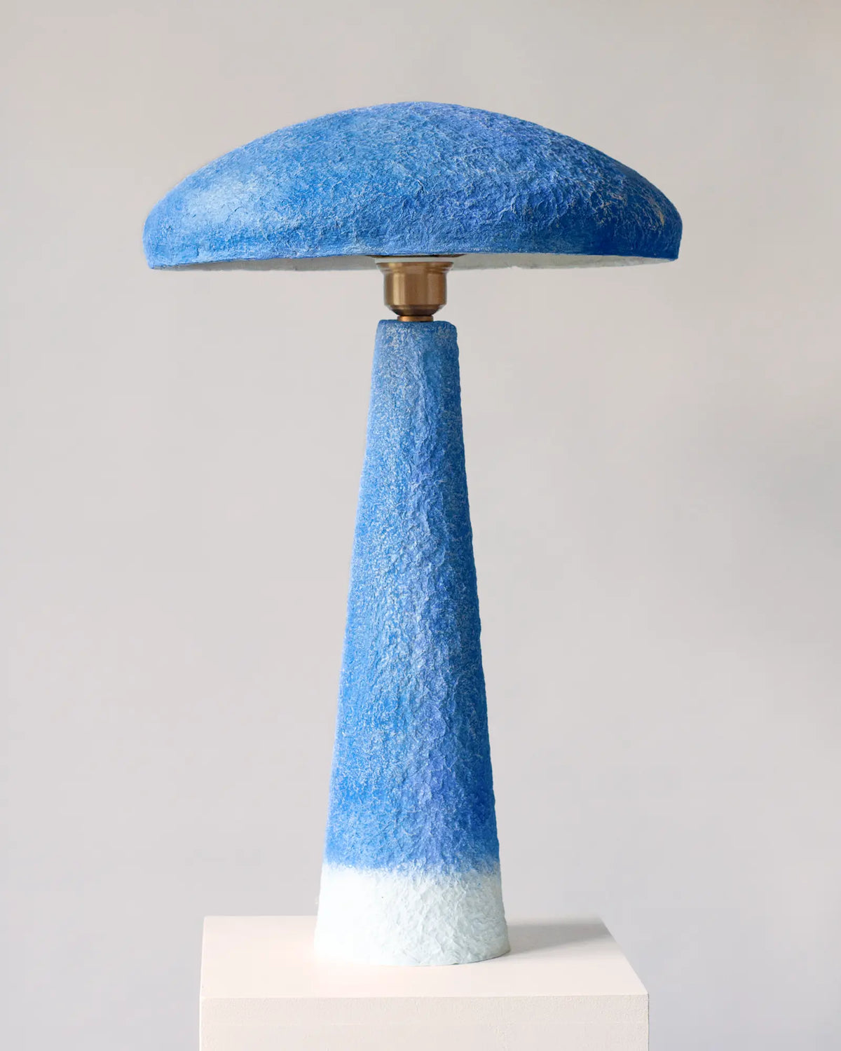 pm_blauw